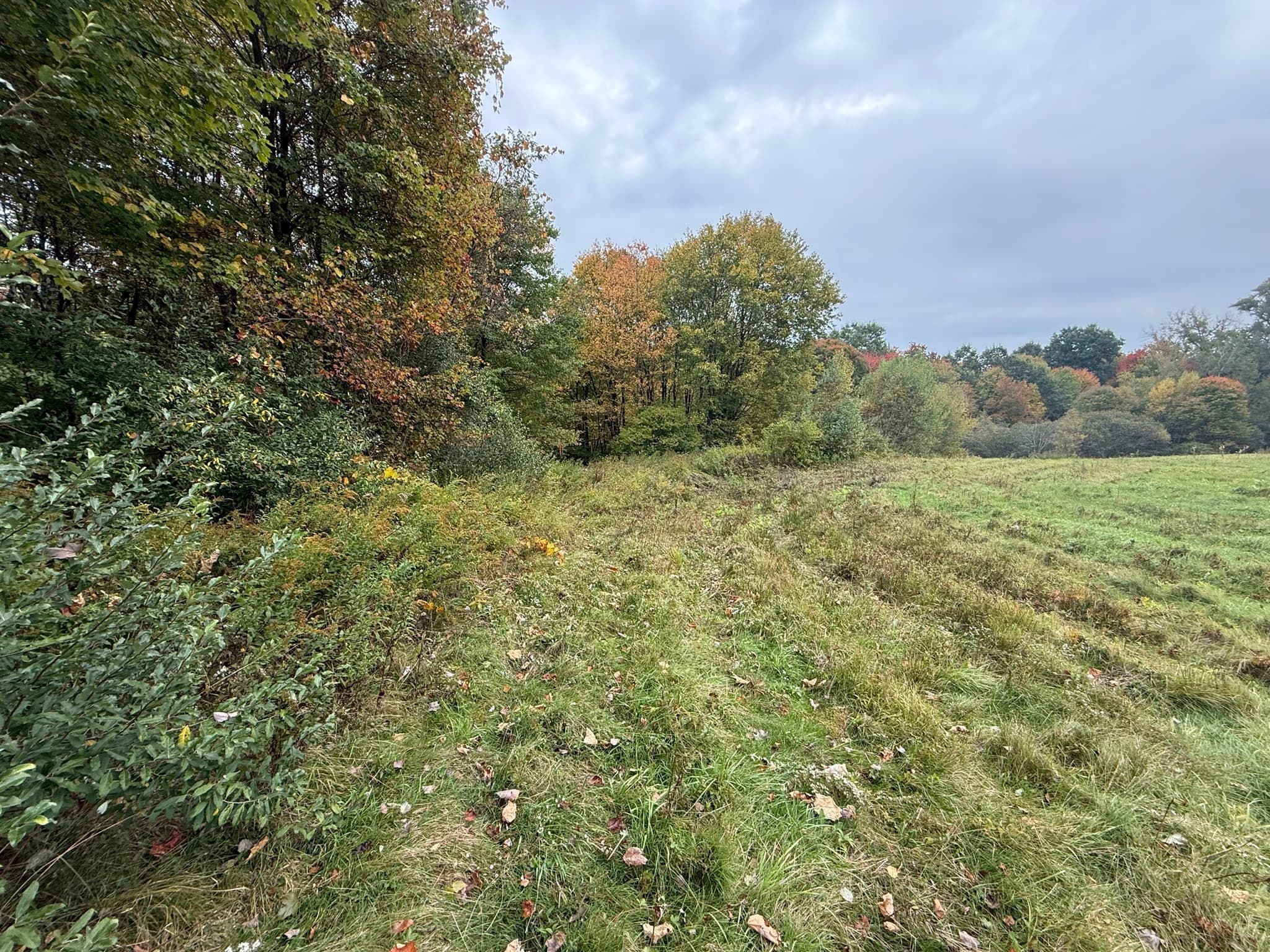 Agriculture at Lot 2A North Liberty St., Belchertown MA 01007, Belchertown, photo 7 of 10