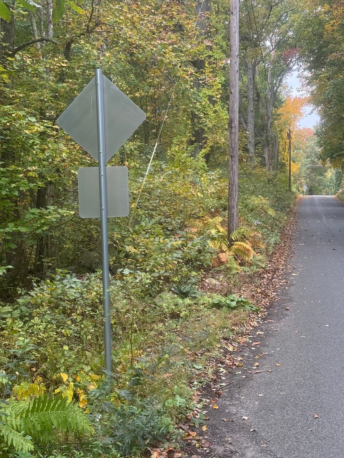 Agriculture at Lot 2A North Liberty St., Belchertown MA 01007, Belchertown, photo 3 of 10