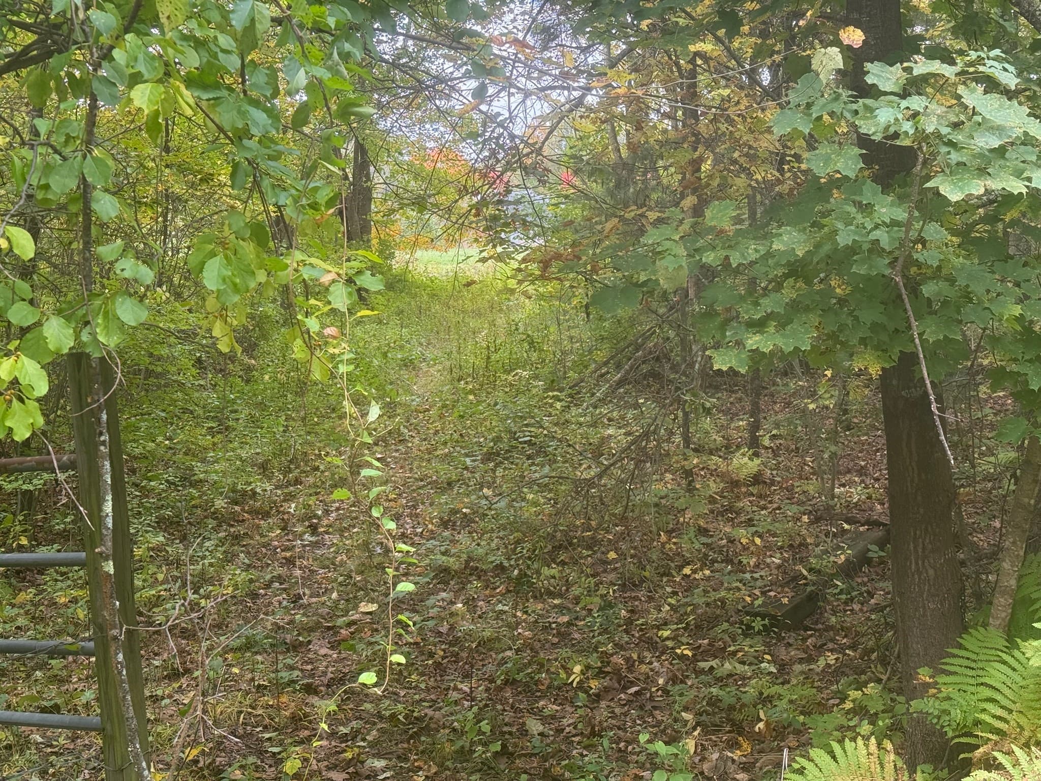Agriculture at Lot 2A North Liberty St., Belchertown MA 01007, Belchertown, photo 5 of 10