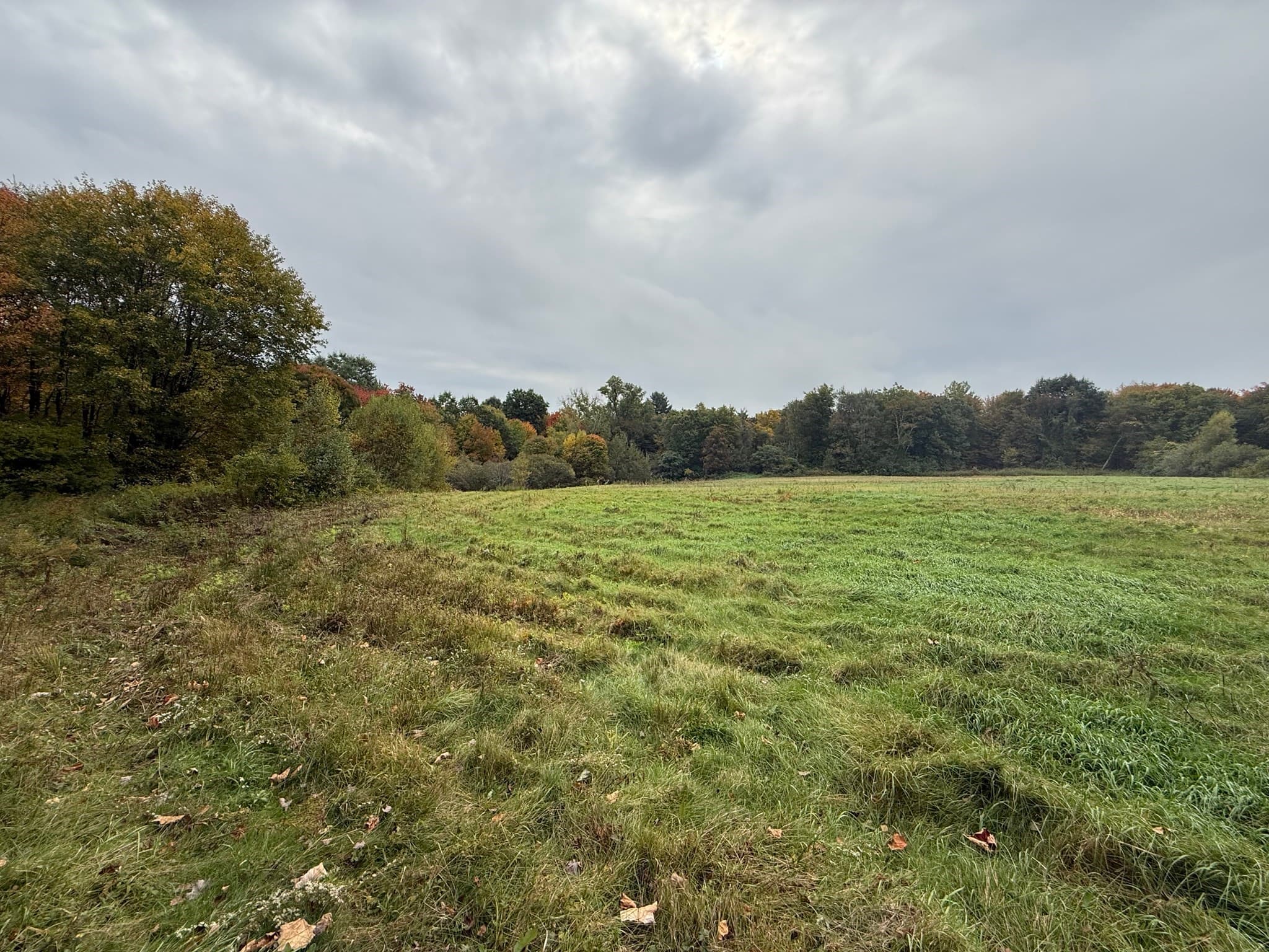 Agriculture at Lot 2A North Liberty St., Belchertown MA 01007, Belchertown, photo 9 of 10