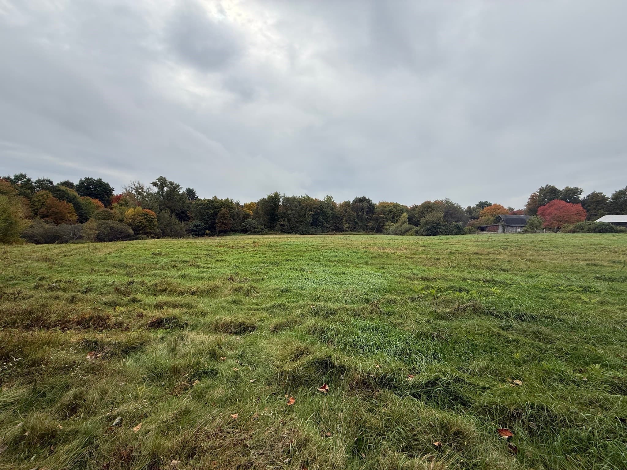Agriculture at Lot 2A North Liberty St., Belchertown MA 01007, Belchertown, photo 10 of 10
