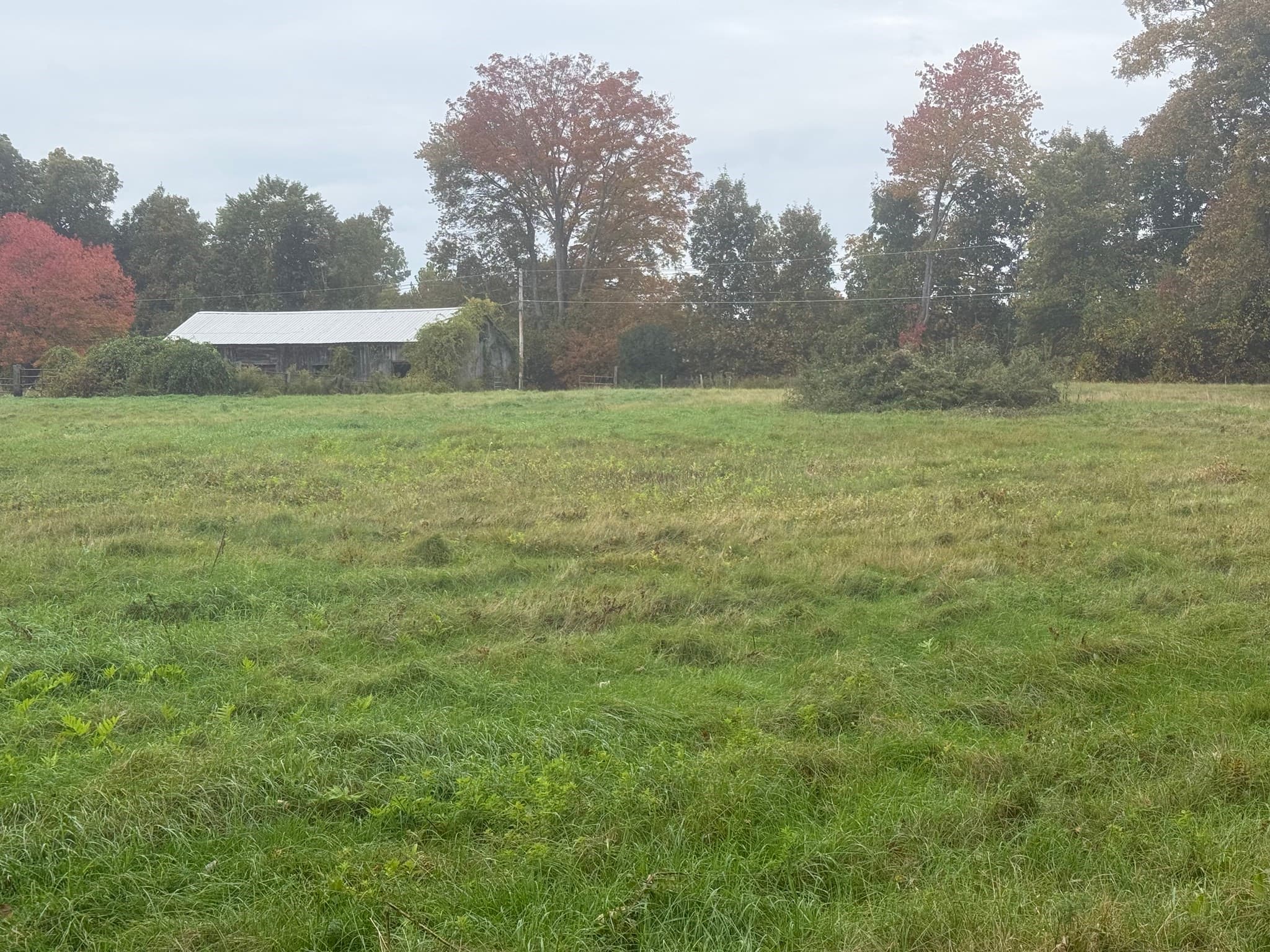 Agriculture at Lot 2A North Liberty St., Belchertown MA 01007, Belchertown, photo 8 of 10
