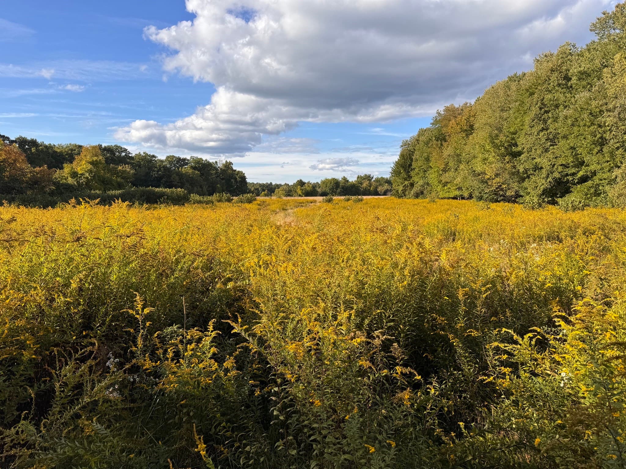 30V-Lot 1 Red Bridge Rd, Wilbraham MA 01095