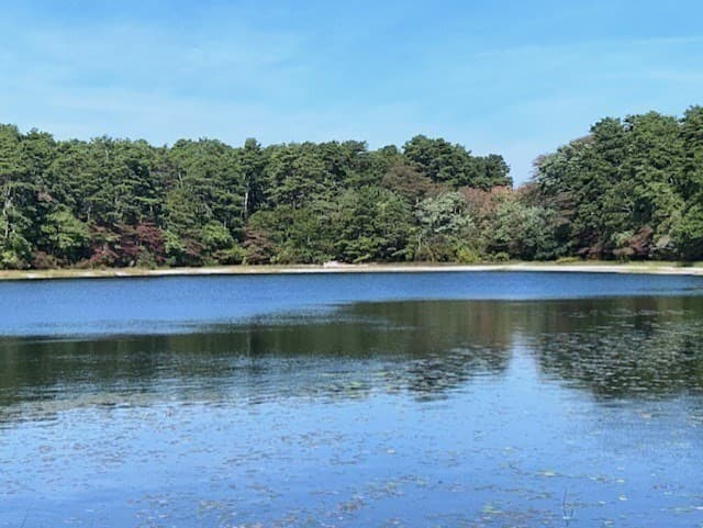 Single Family Residence at 222 Buck Island Unit 54, Yarmouth MA 02673, Yarmouth, photo 21 of 32