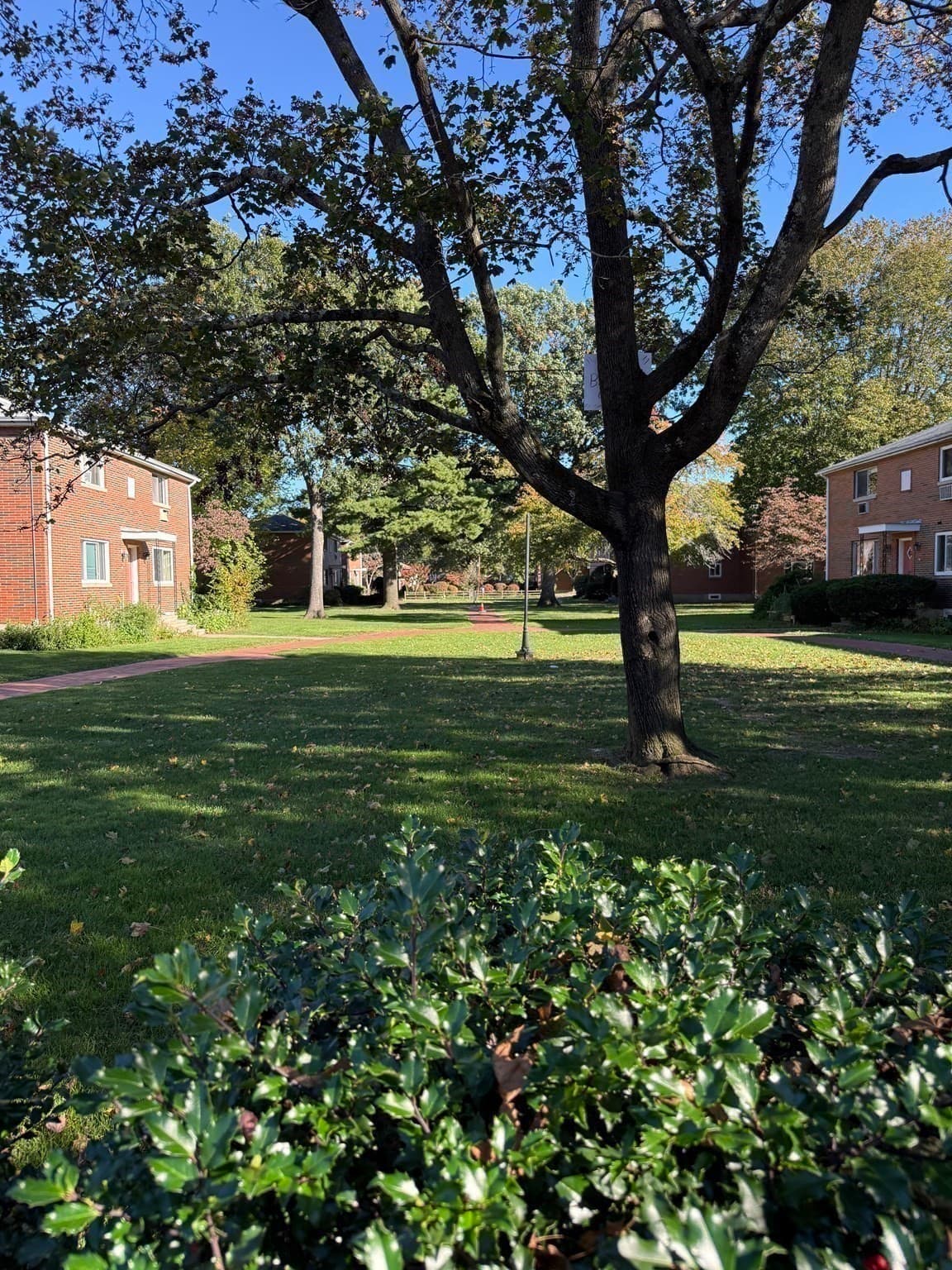 Condominium at 36 Bishop Dr # 36, Framingham MA 01702, Framingham, photo 20 of 23