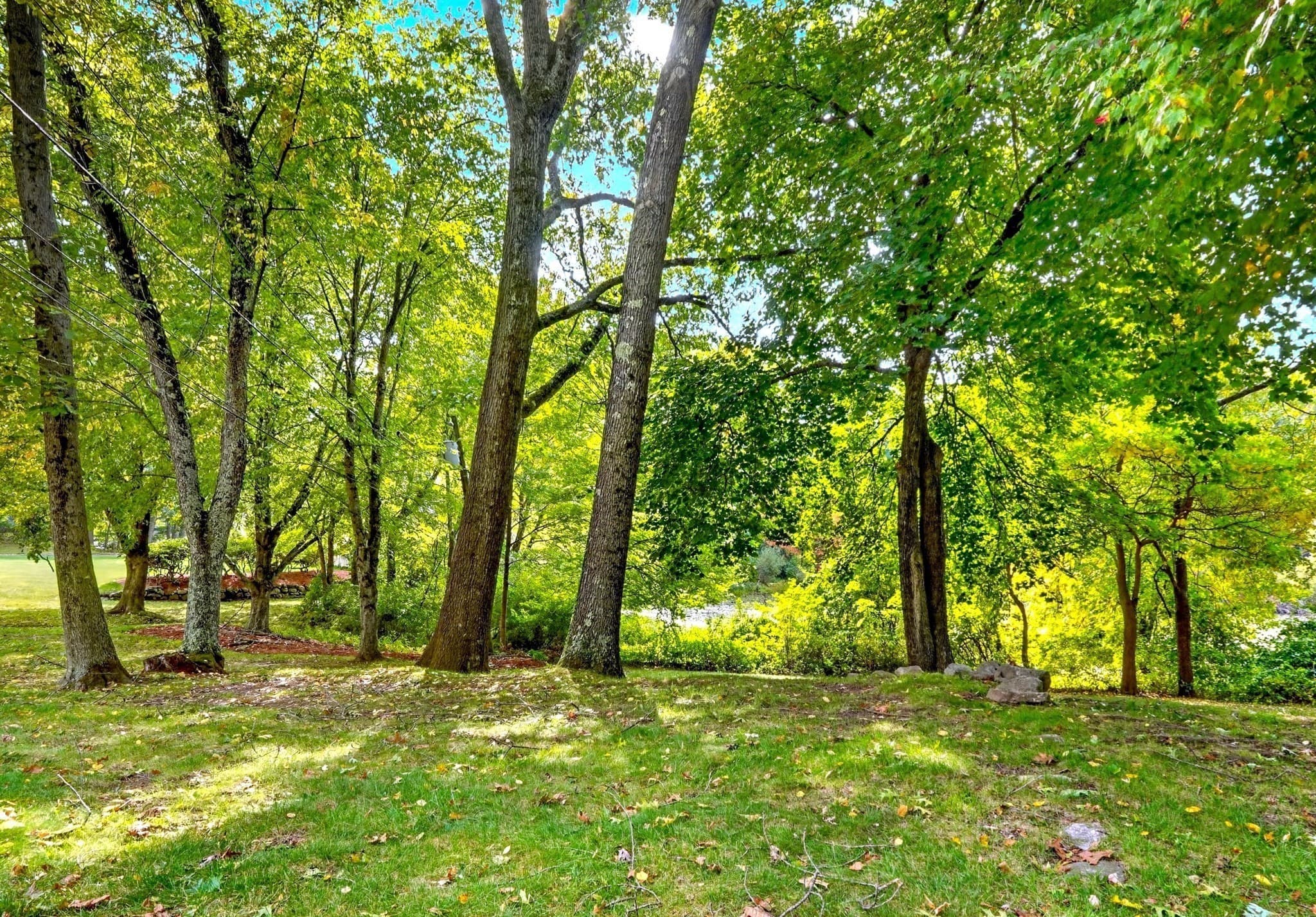 Condominium at 96 Sweetwater Ave # 9, Bedford MA 01730, Bedford, photo 24 of 28