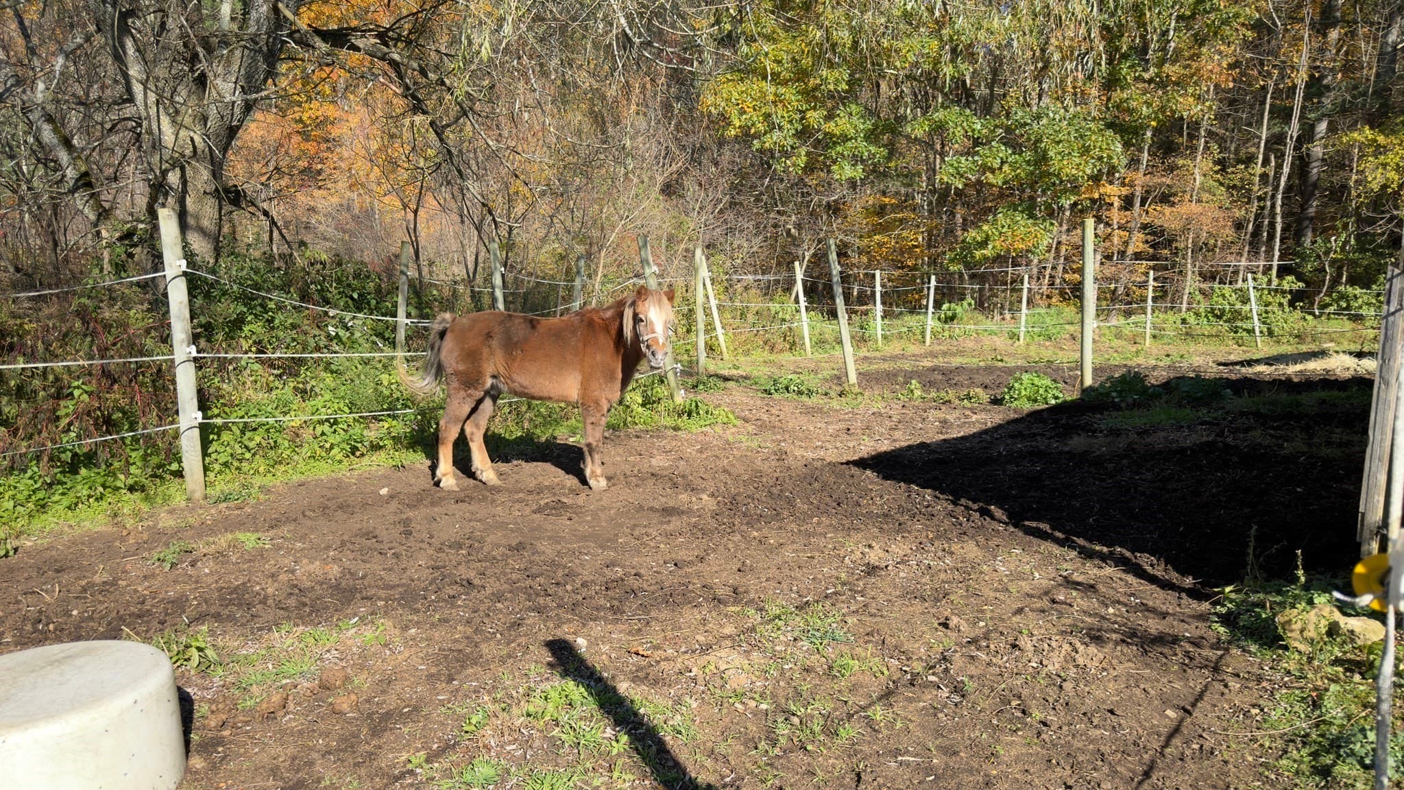 Equestrian at 38 Mccormick Rd, Spencer MA 01562, photo 8 of 42