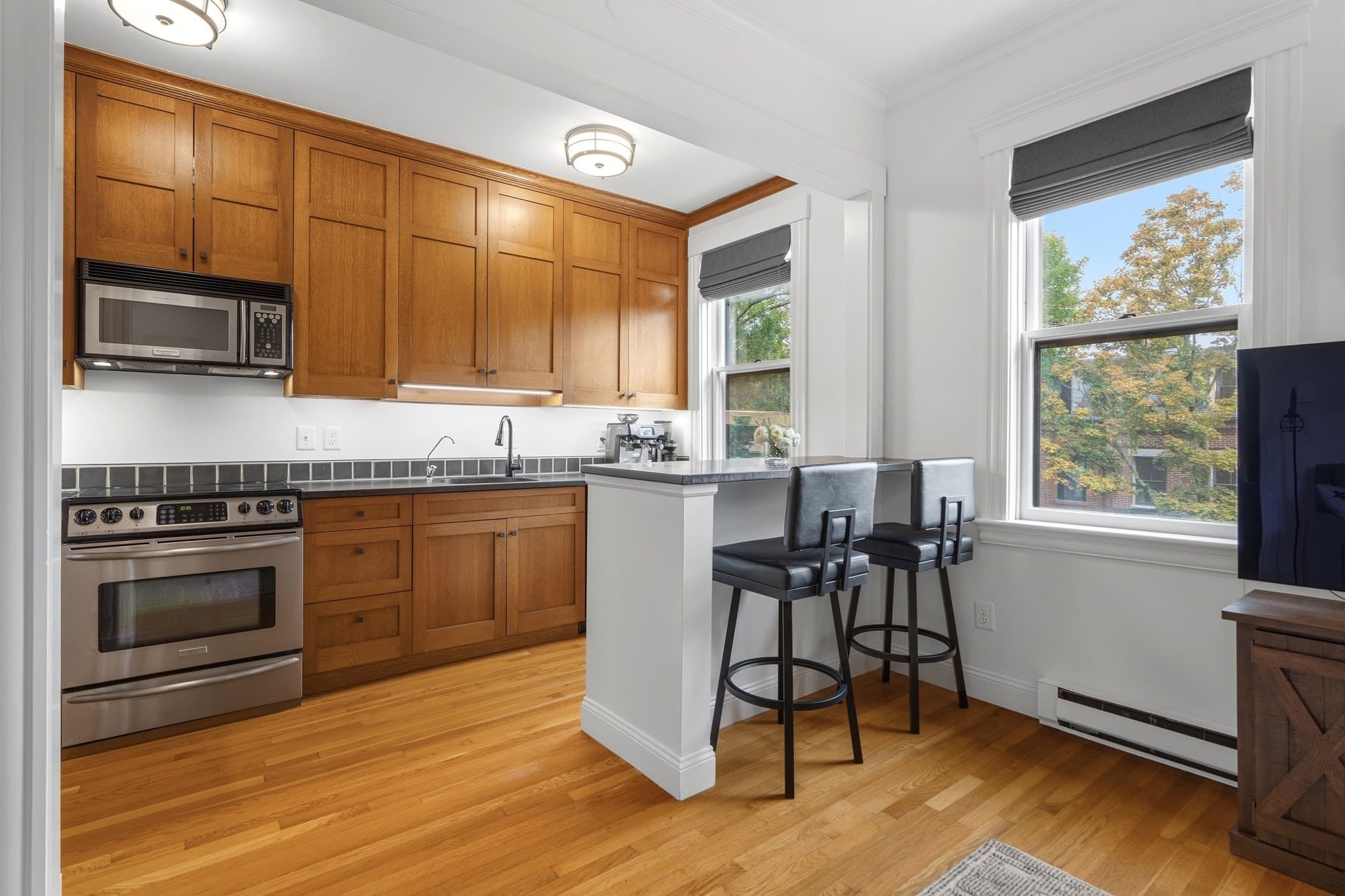 Condominium at 202 W Springfield St # 5, Boston MA 02118, Boston, photo 2 of 18