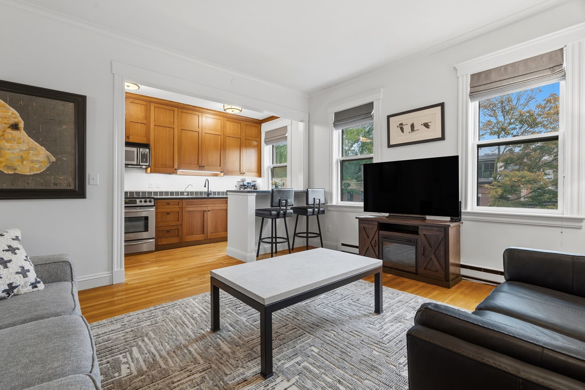 202 W Springfield St # 5, Boston MA 02118