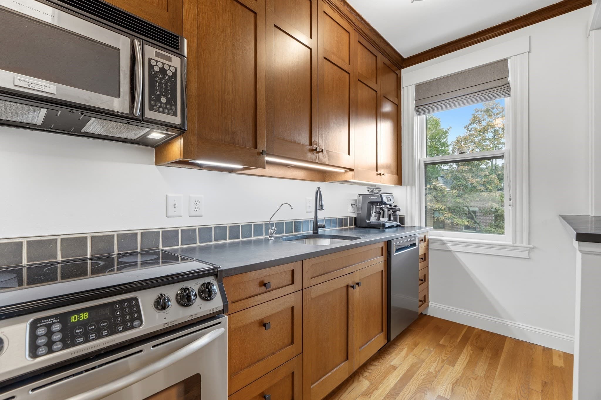 Condominium at 202 W Springfield St # 5, Boston MA 02118, Boston, photo 4 of 18