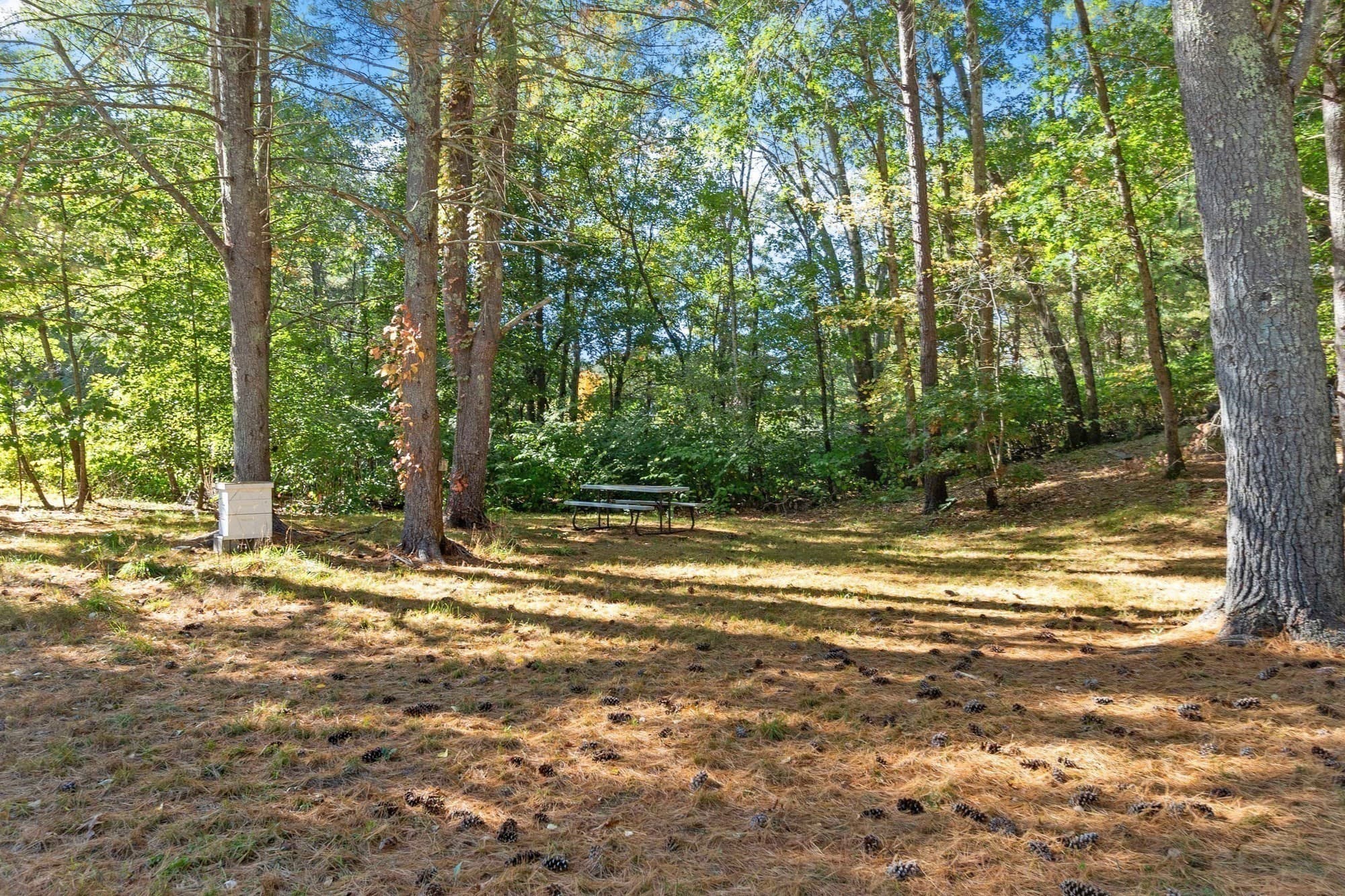 Single Family Residence at 18 East St, Pepperell MA 01463, Pepperell, photo 28 of 32