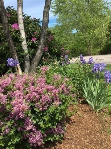 Condominium at 84G Crystal Brook Way # G, Marlborough MA 01752, Marlborough, photo 17 of 20