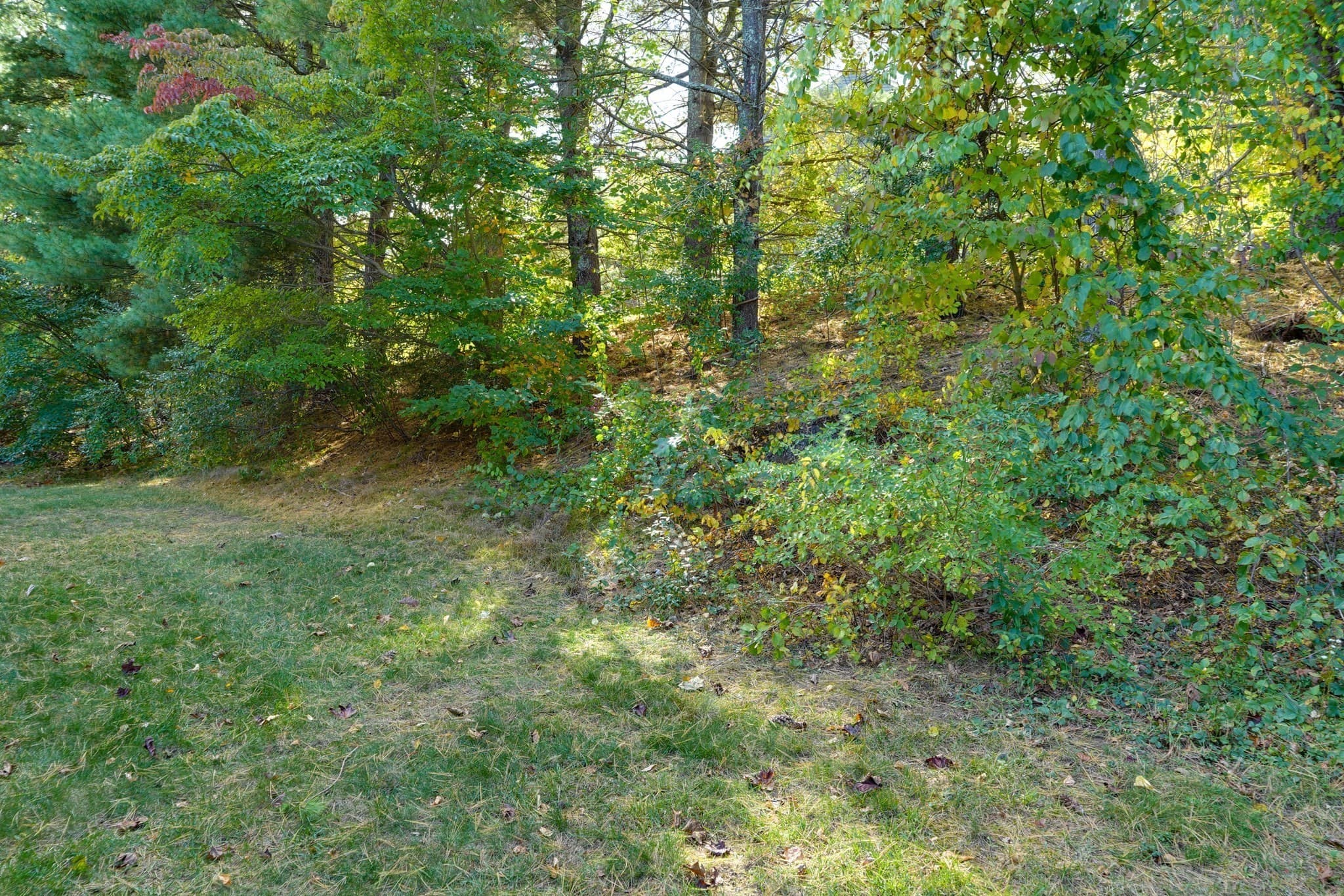 Condominium at 153 Laurelwood Drive # 153, Hopedale MA 01747, Hopedale, photo 5 of 38