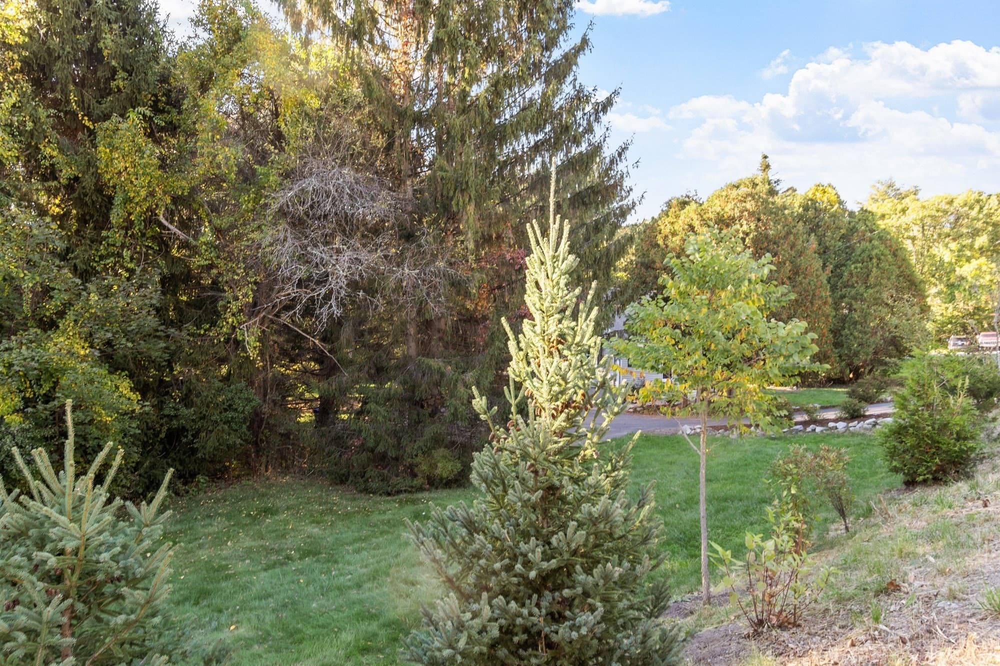 Single Family Residence at 390 North Rd, Bedford MA 01730, Bedford, photo 4 of 40