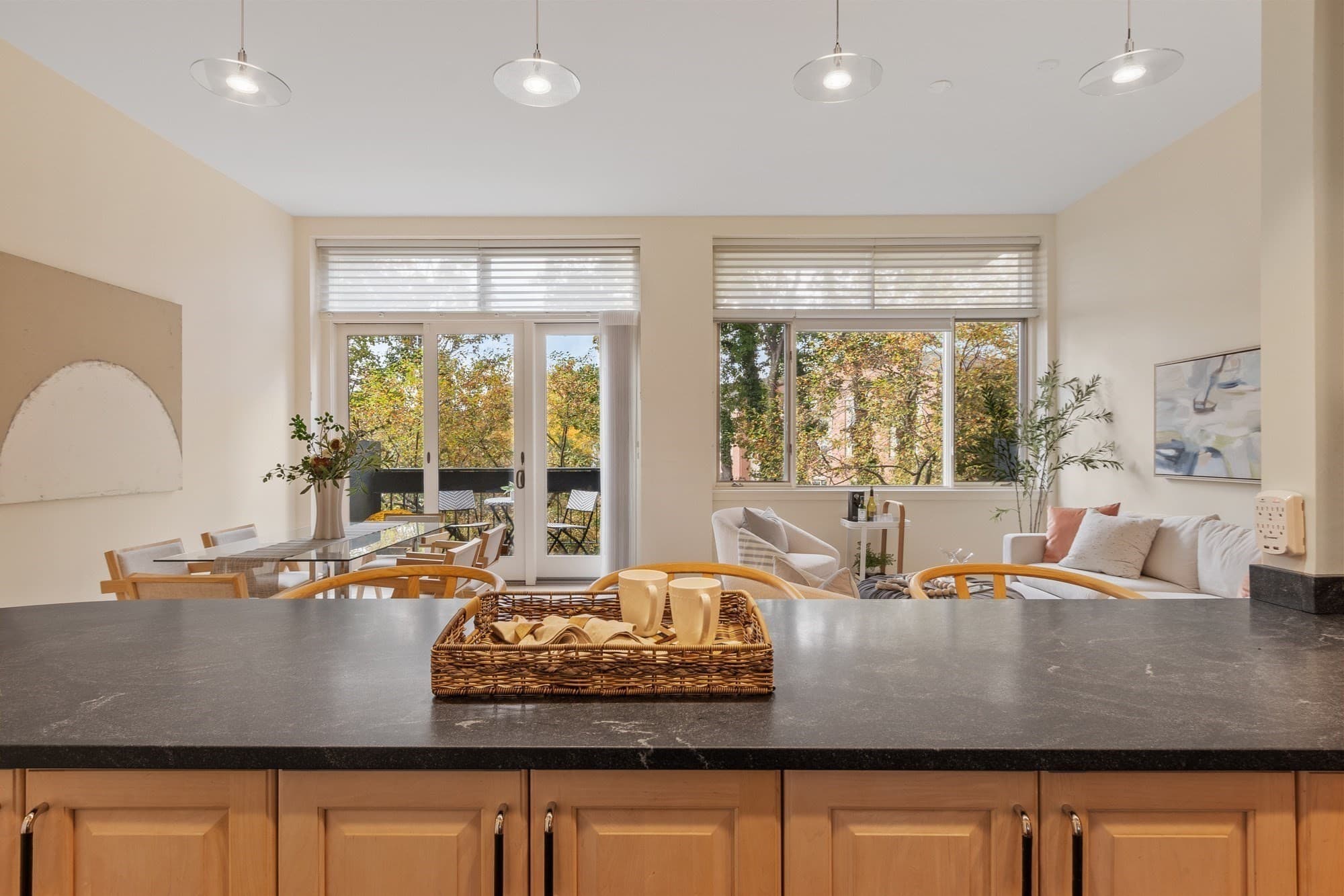 Condominium at 100 Keyes Road # 324, Concord MA 01742, Concord, photo 9 of 30