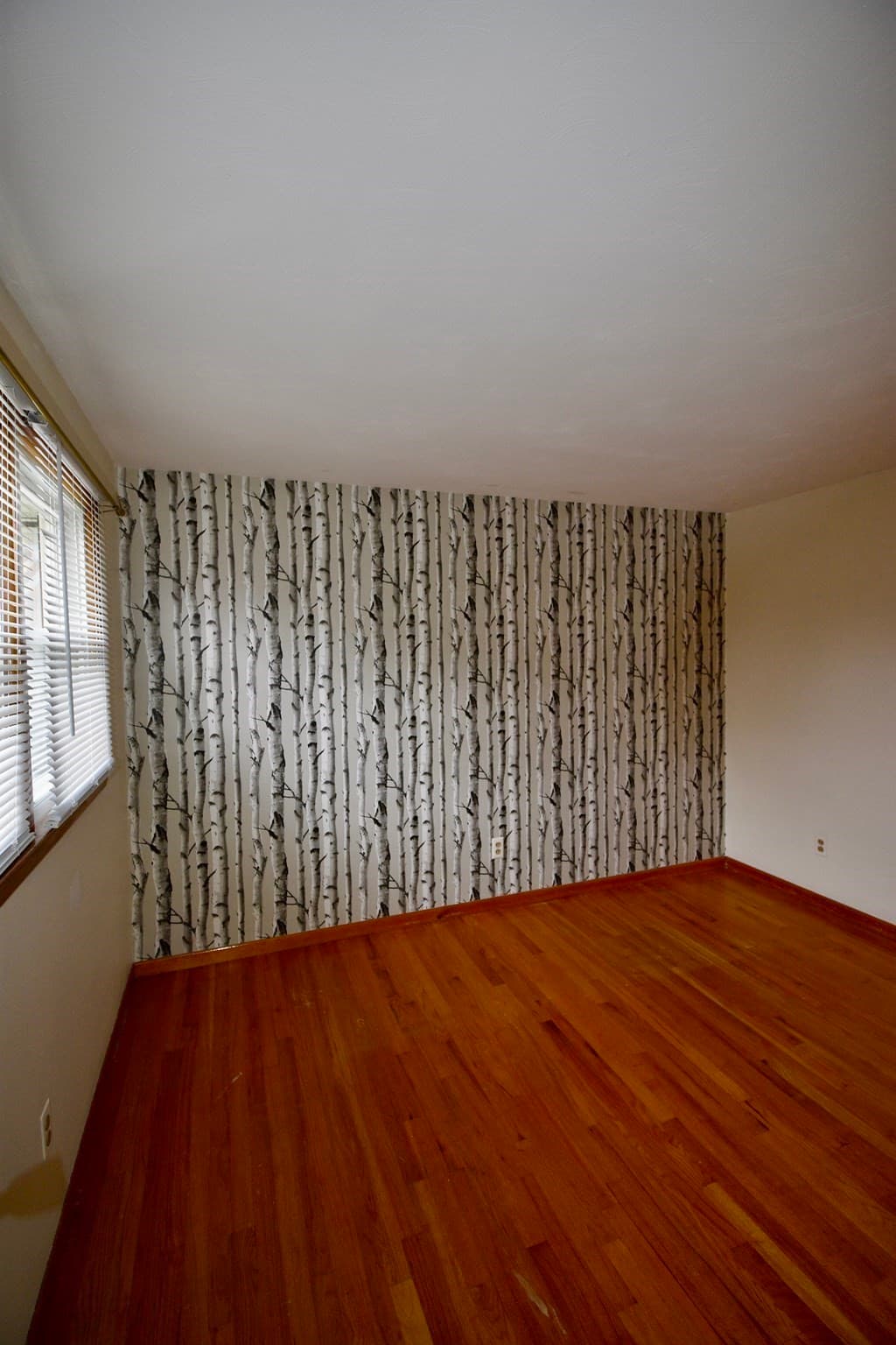 Single Family Residence at 64 Poplar St, Chicopee MA 01013, Chicopee, photo 11 of 24