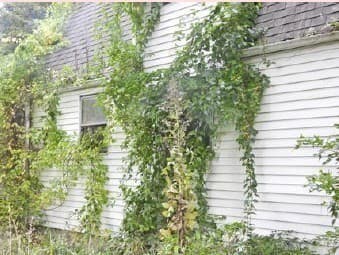 Single Family Residence at 7 Linden Street, Oxford MA 01540, Oxford, photo 5 of 13