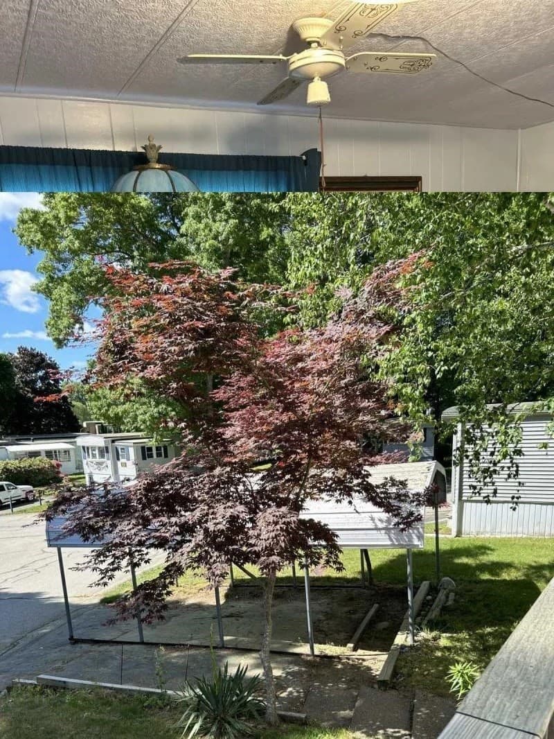 Mobile Home at 32 Parkwood Drive, Halifax MA 02338, Halifax, photo 17 of 20