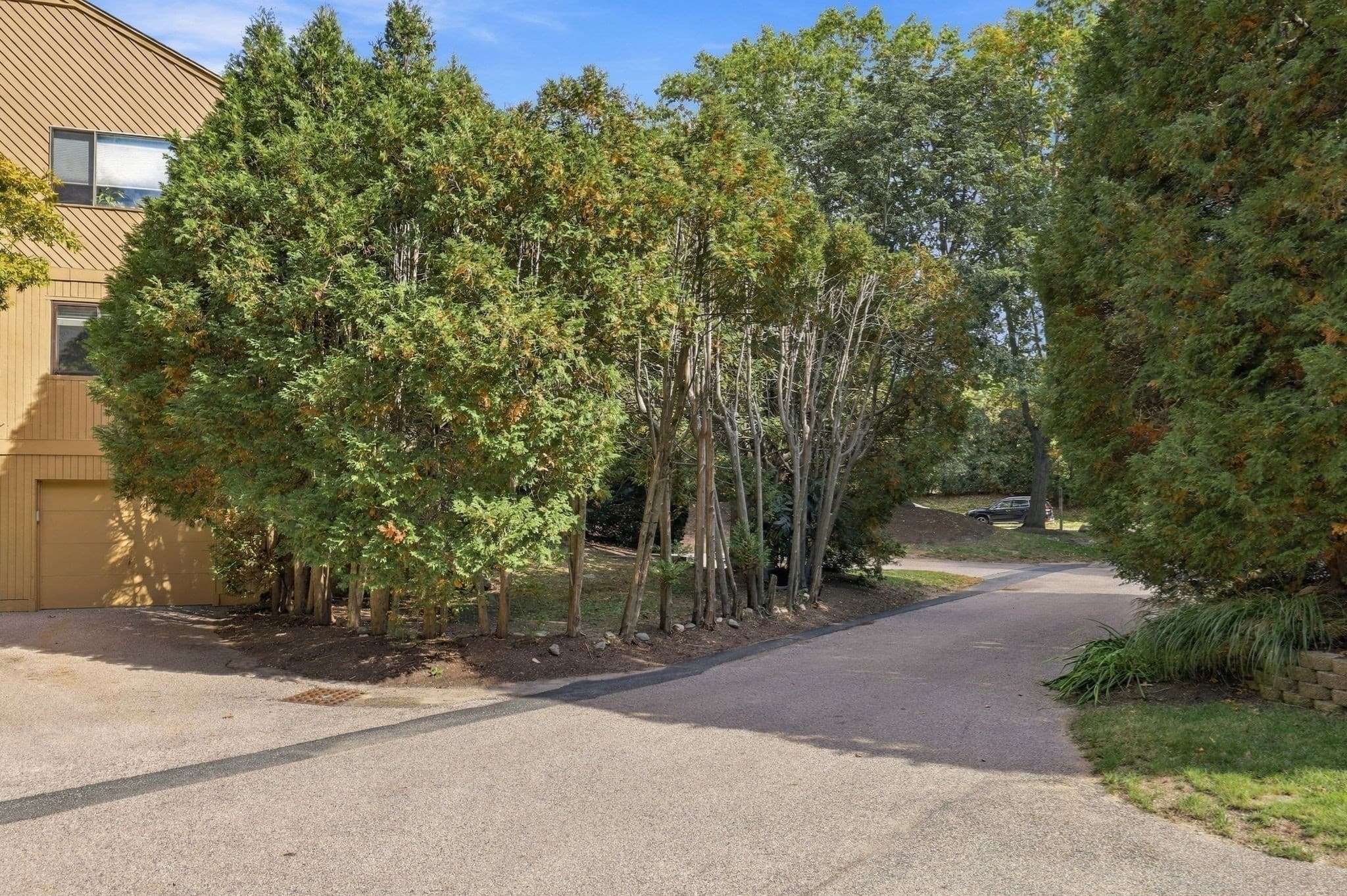 Condominium at 161 Leland Farm Rd # 161, Ashland MA 01721, Ashland, photo 34 of 42