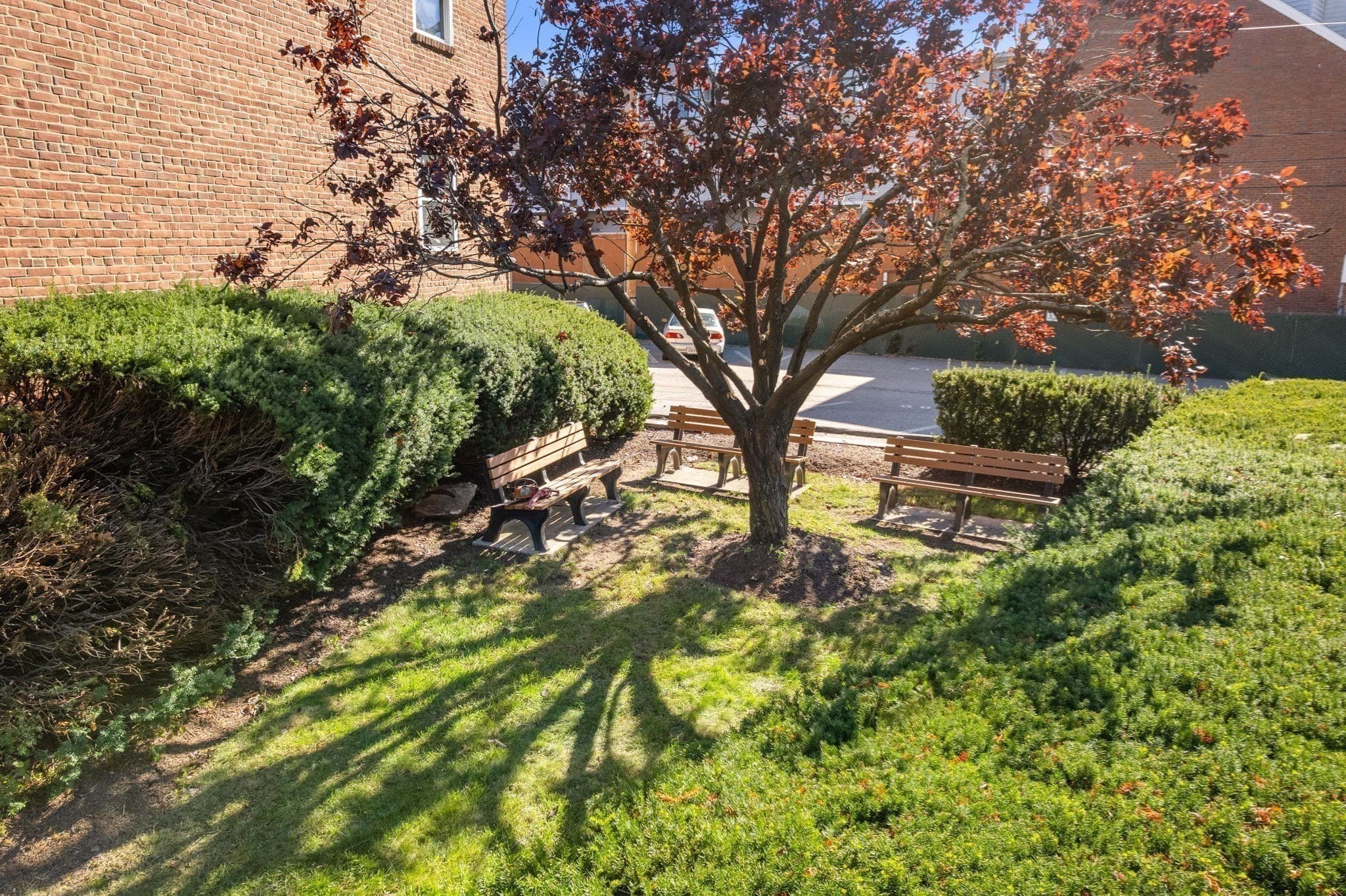 Condominium at 47 Colborne Rd # 1, Boston MA 02135, Boston, photo 27 of 30