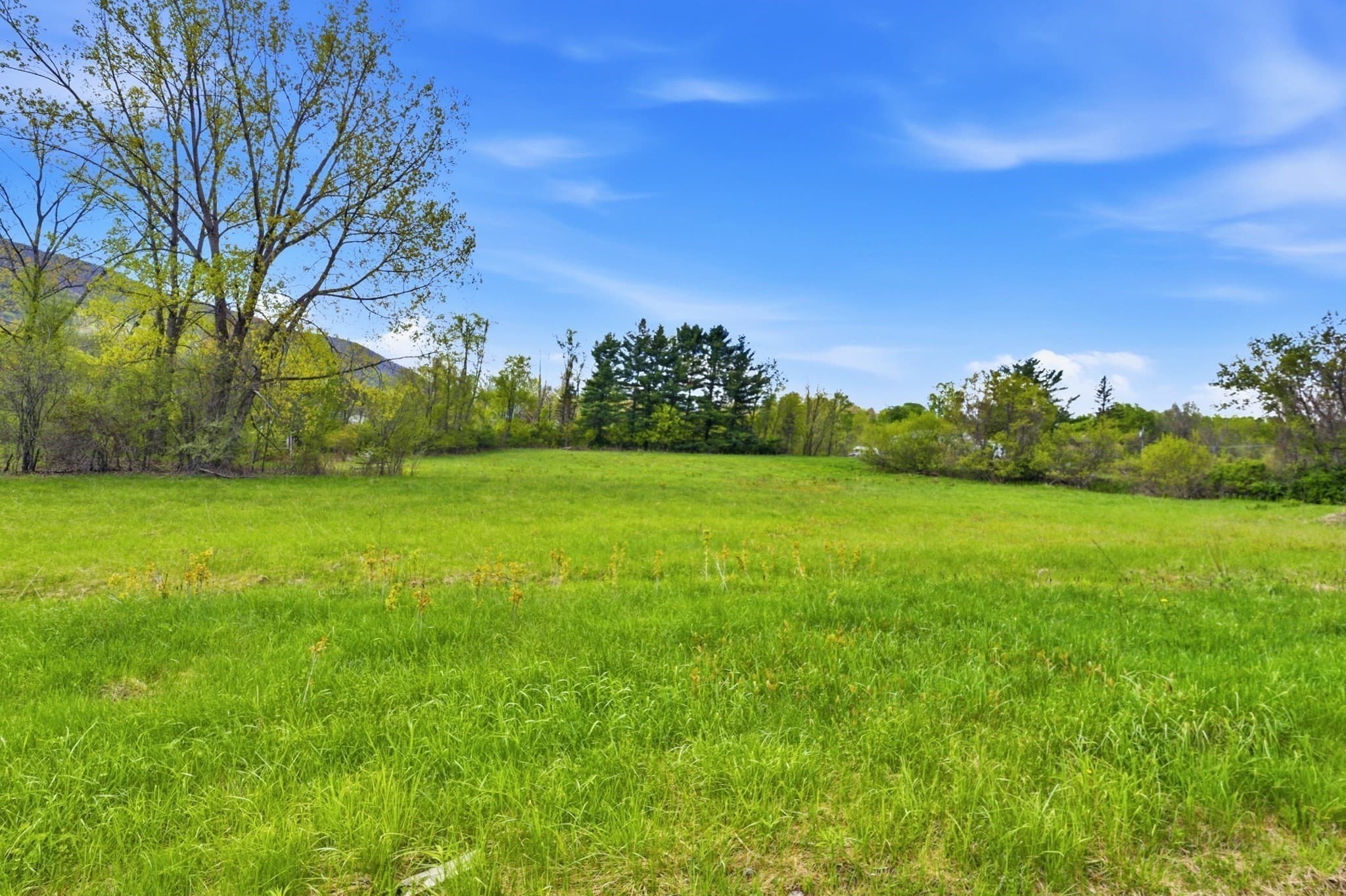 Single Family Residence at 97 Luce Rd, Williamstown MA 01267, Williamstown, photo 10 of 24