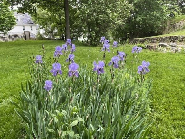 Single Family Residence at 330 Washington Street, Melrose MA 02176, Melrose, photo 33 of 41