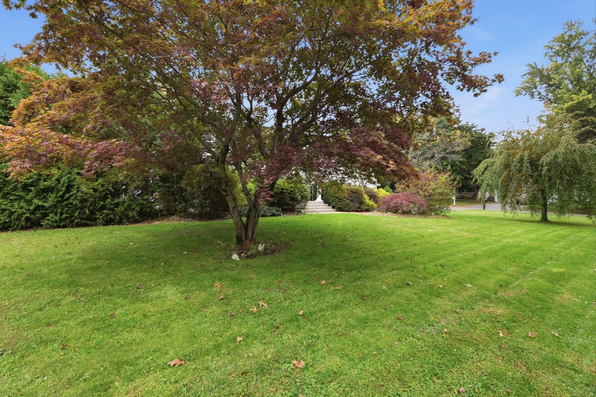 Single Family Residence at 684 Maple Rd, Longmeadow MA 01106, photo 4 of 42