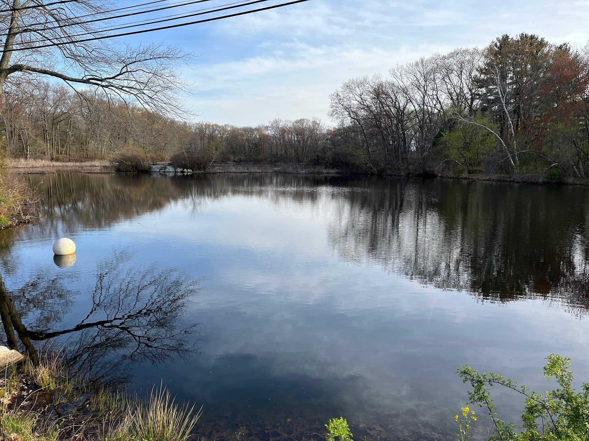 Residential at 36 Slayton Rd, Melrose MA 02176, Melrose, photo 4 of 14