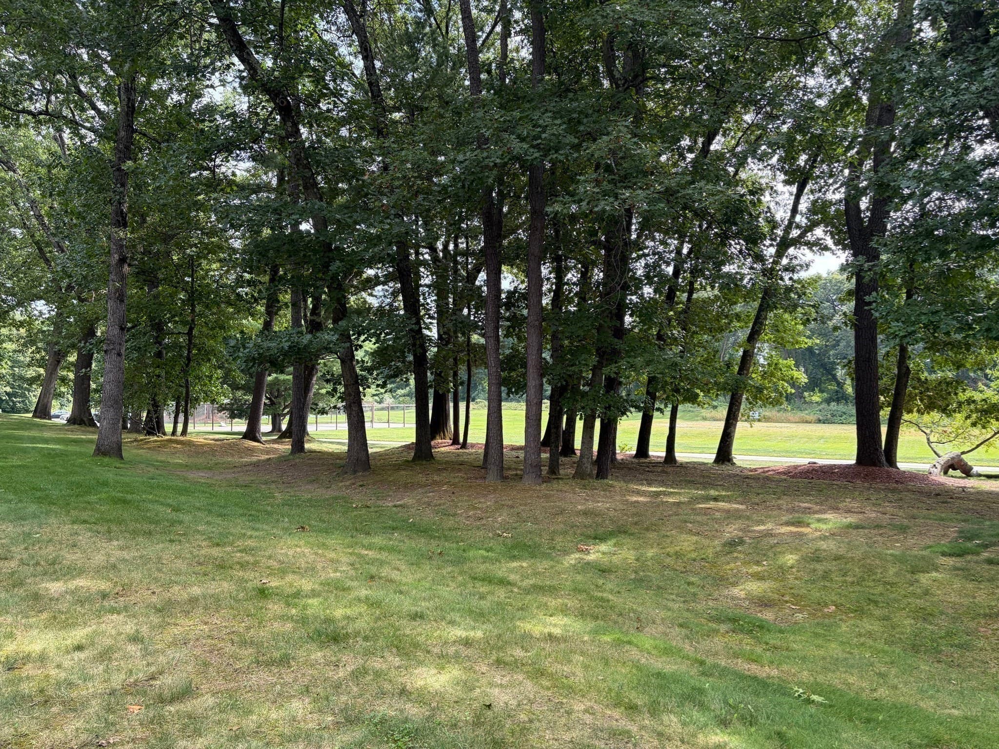 Condominium at 178 Wellman Ave # 178, Chelmsford MA 01863, photo 20 of 24