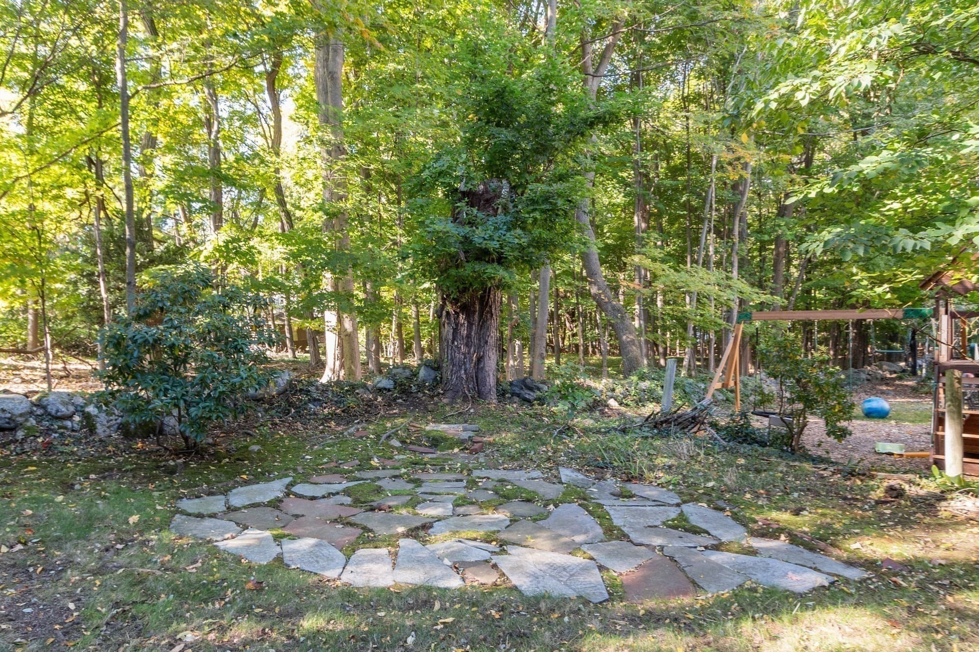 Single Family Residence at 33 Kenmore Rd, Belmont MA 02478, Belmont, photo 10 of 10