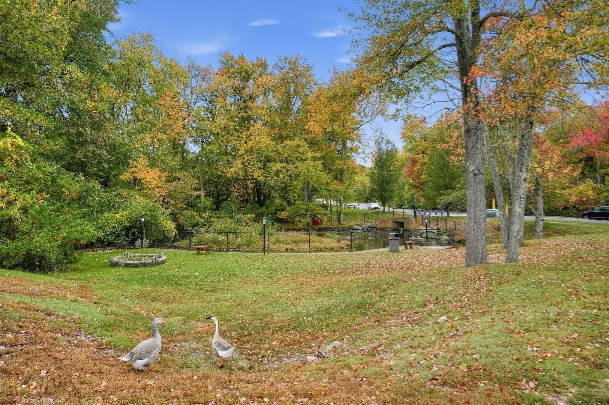 Condominium at 2 Shadowbrook # 51, Milford MA 01757, Milford, photo 21 of 25