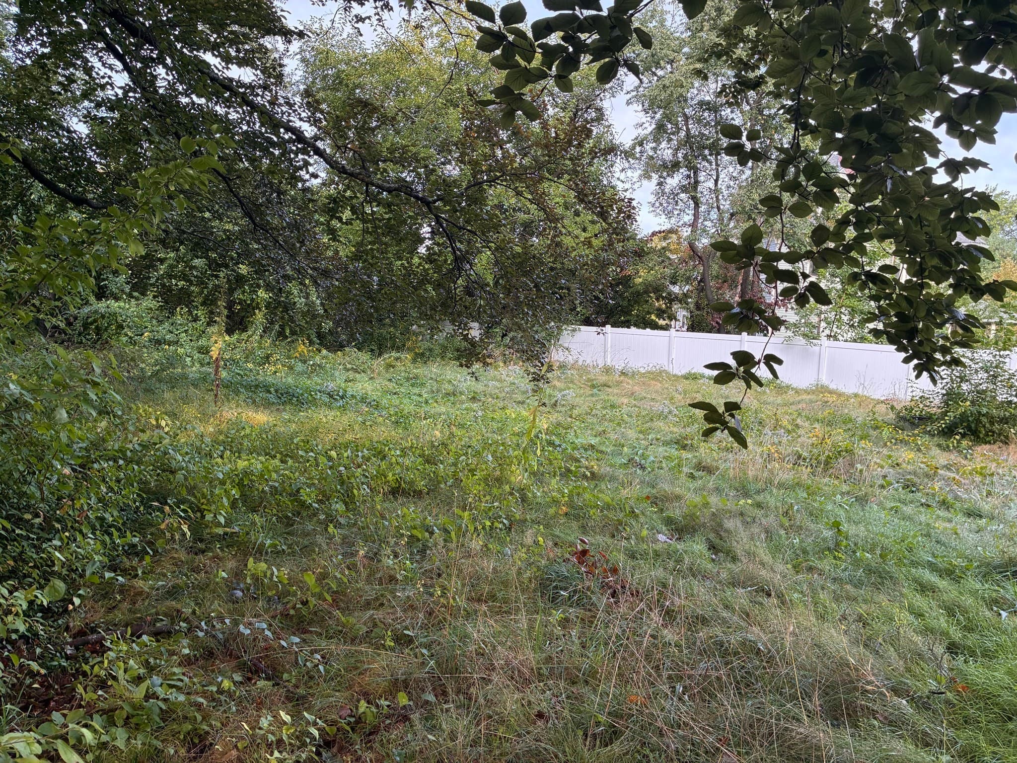 Residential at 0 Buckingham Street, Springfield MA 01101, Springfield, photo 6 of 6