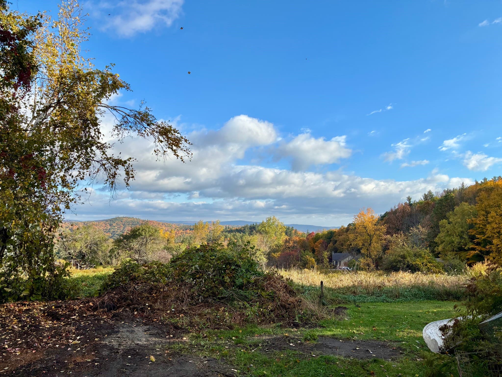 Single Family Residence at 1024 Hawley Rd, Ashfield MA 01330, Ashfield, photo 4 of 32