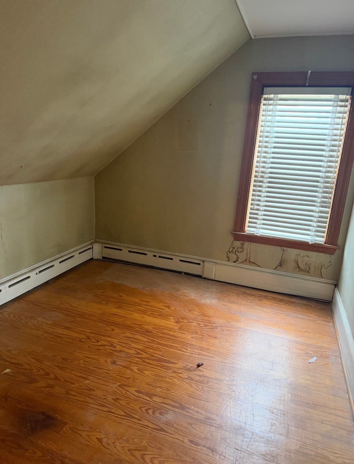 Single Family Residence at 34 Floral St, Taunton MA 02780, Taunton, photo 6 of 9
