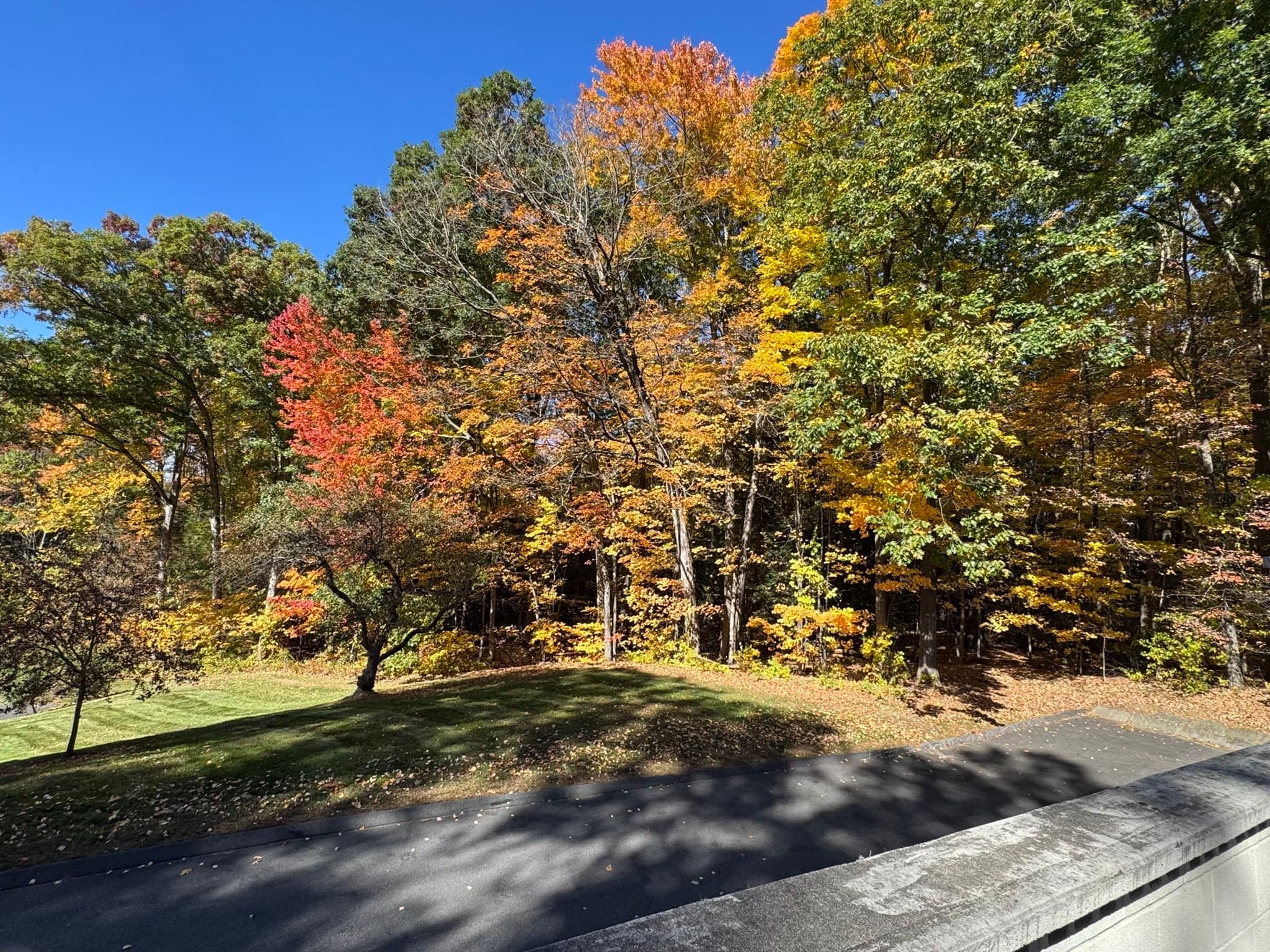 Condominium at 15 Emerson Ct # 15, Amherst MA 01002, photo 16 of 41