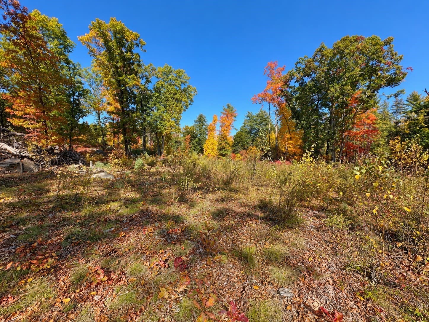 Residential at Lot 11-C Hoyts Wharf Rd, Groton MA 01450, photo 3 of 5