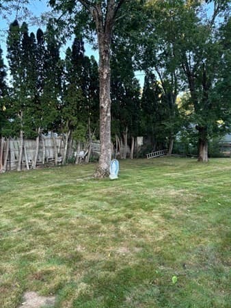 Single Family Residence at 56 Eleventh Ave, Brockton MA 02302, photo 6 of 9