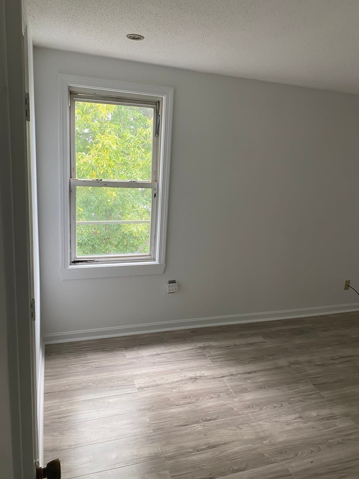 Condominium at 177 Nashua Street # 6, Fall River MA 02721, photo 7 of 9