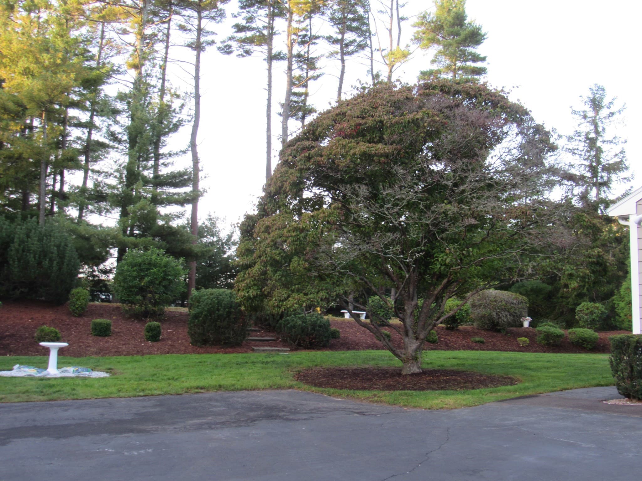 Single Family Residence at 14 Pinegrove Rd, Hingham MA 02043, photo 5 of 20