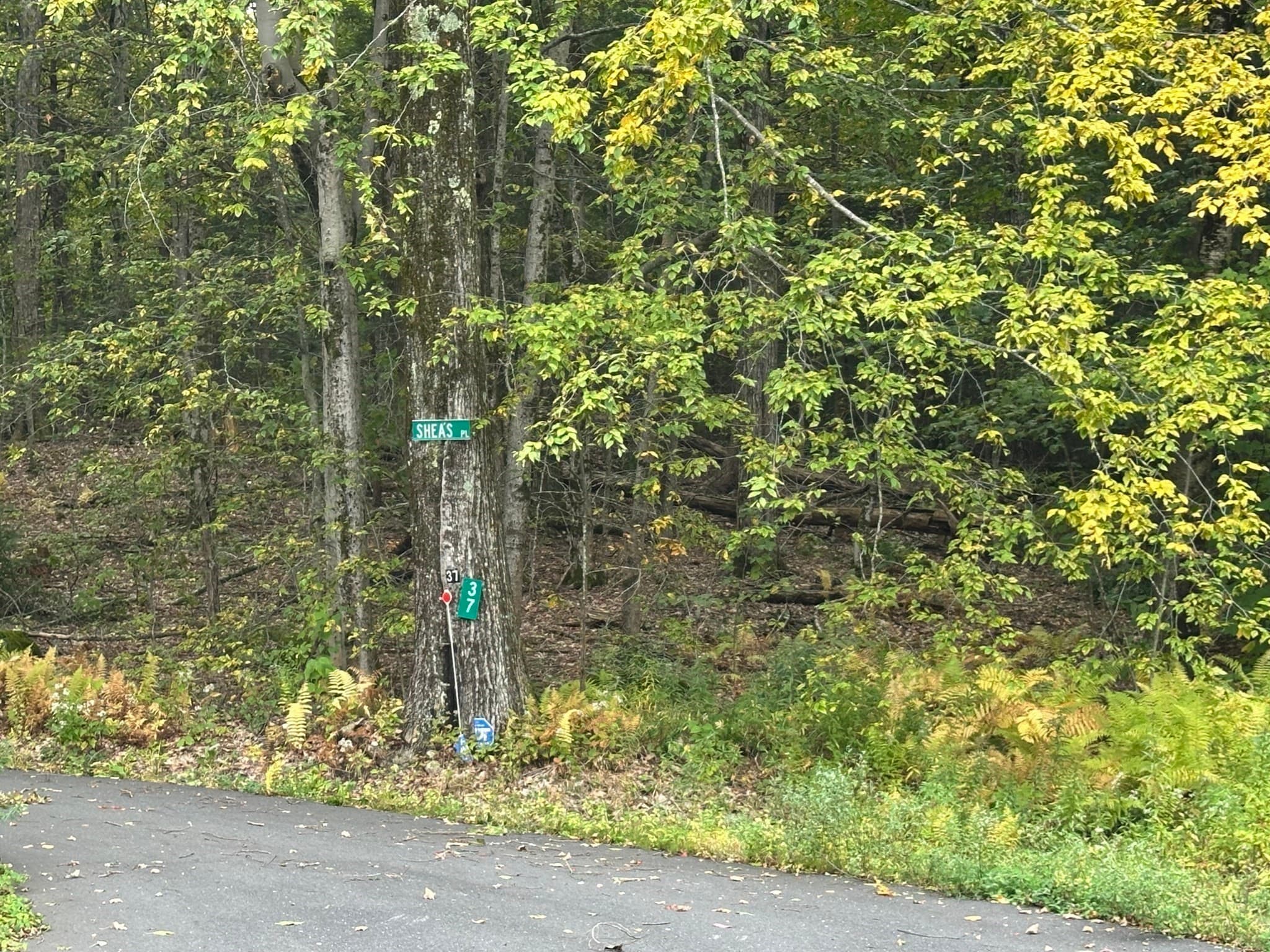 Residential at 42 Woronoco Rd, Blandford MA 01008, photo 2 of 5