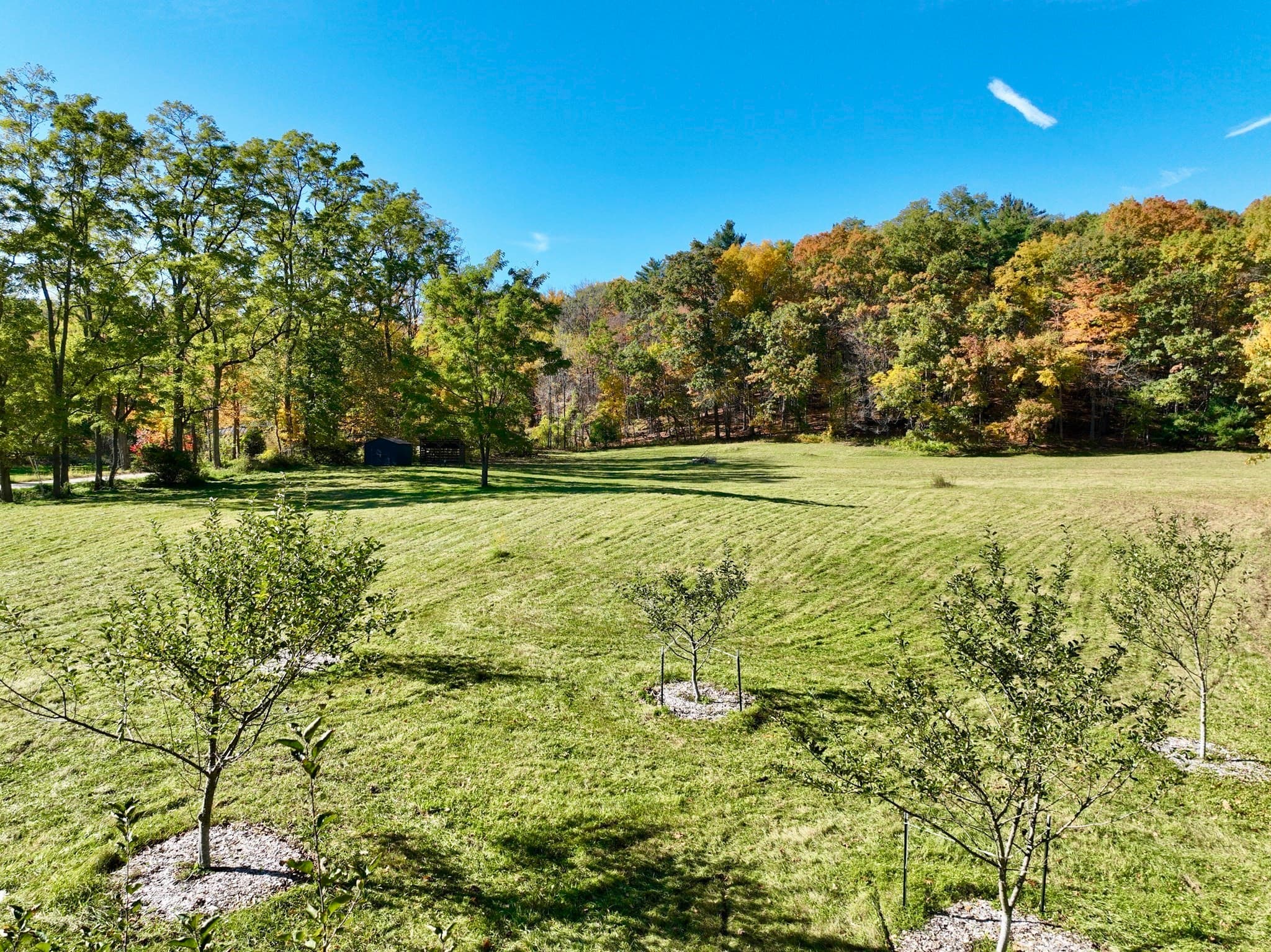Residential at 0 Howes Road, Buckland MA 01338, photo 6 of 15