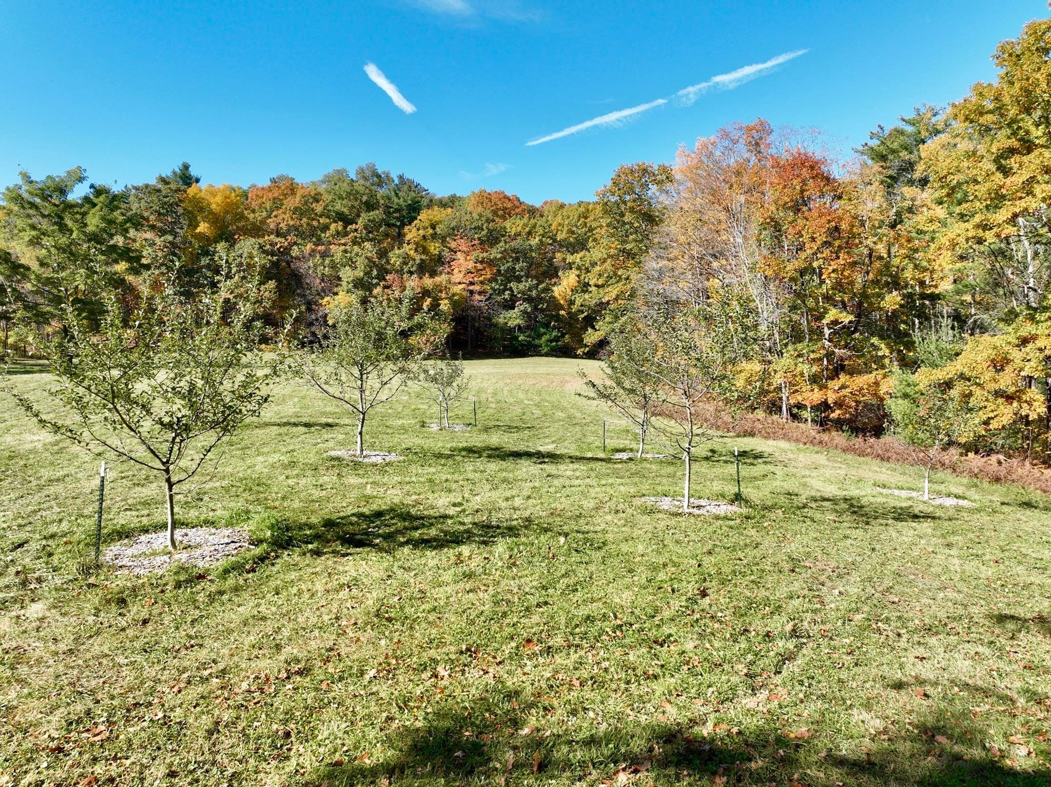 Residential at 0 Howes Road, Buckland MA 01338, photo 8 of 15