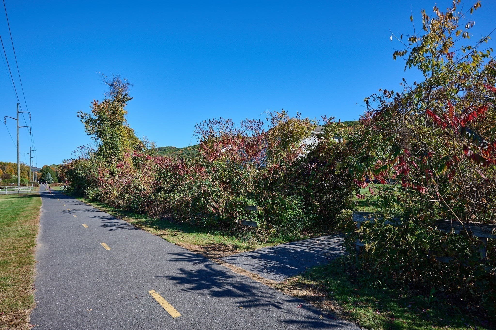 Condominium at 211 East St # 11, Easthampton MA 01027, photo 29 of 32