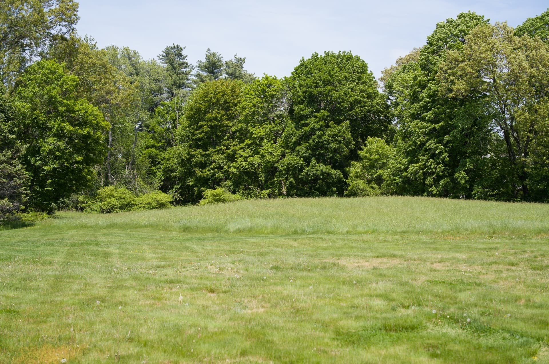 Residential at 819 Boston Post Road, Weston MA 02493, photo 5 of 11