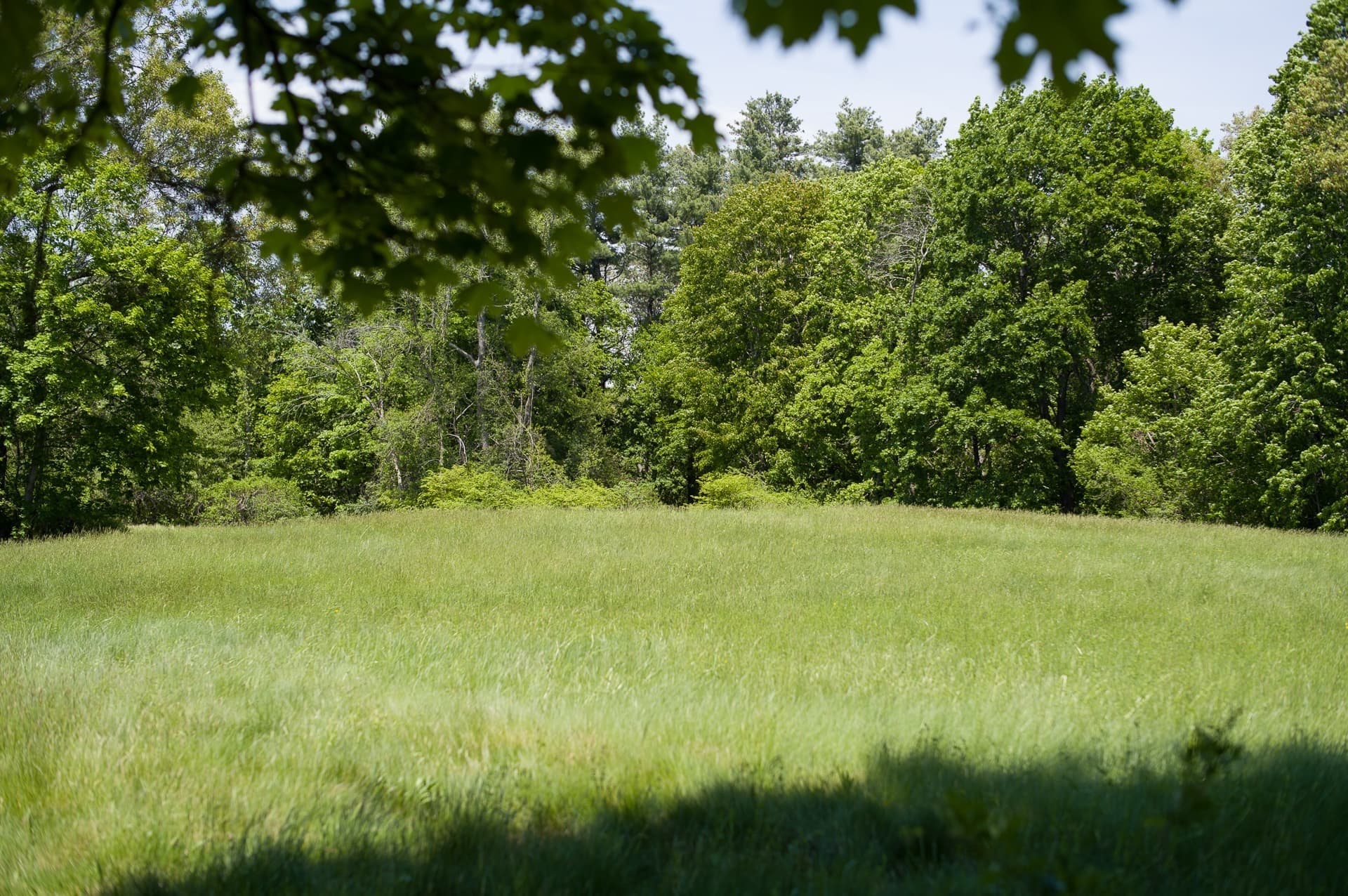 Residential at 819 Boston Post Road, Weston MA 02493, photo 4 of 11