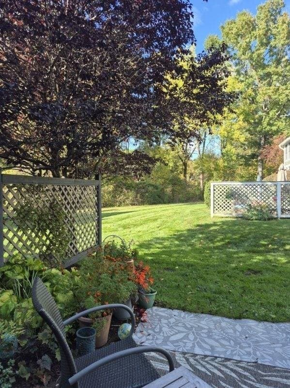 Condominium at 65 Amity Pl # 65, Amherst MA 01002, photo 27 of 38