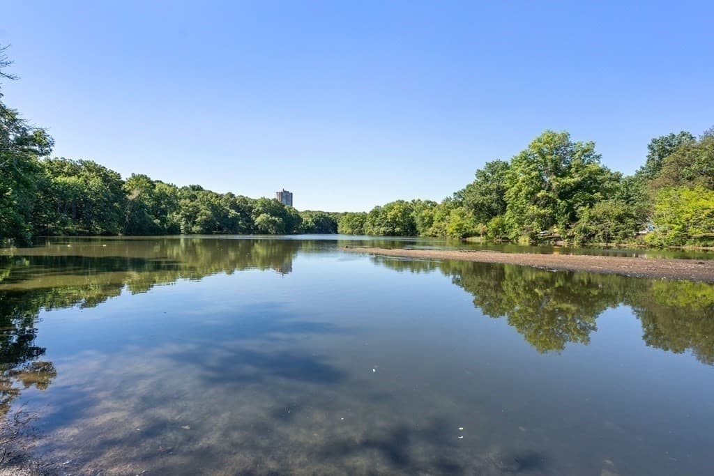 Condominium at 382 Riverway # 2, Boston MA 02115, photo 22 of 24