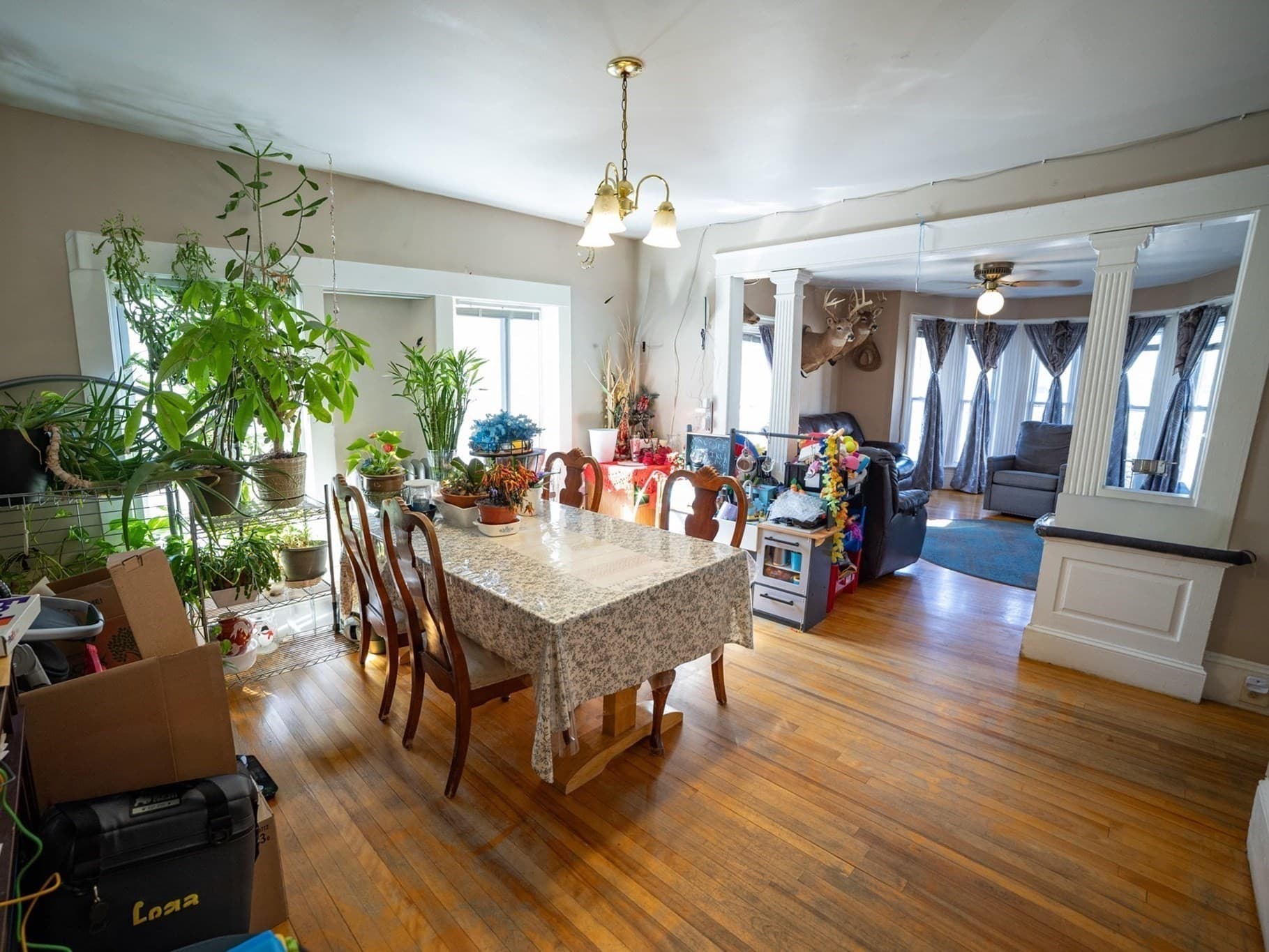 2 Family - 2 Units Up/Down at 17 Myrtle St, Lowell MA 01850, photo 20 of 30