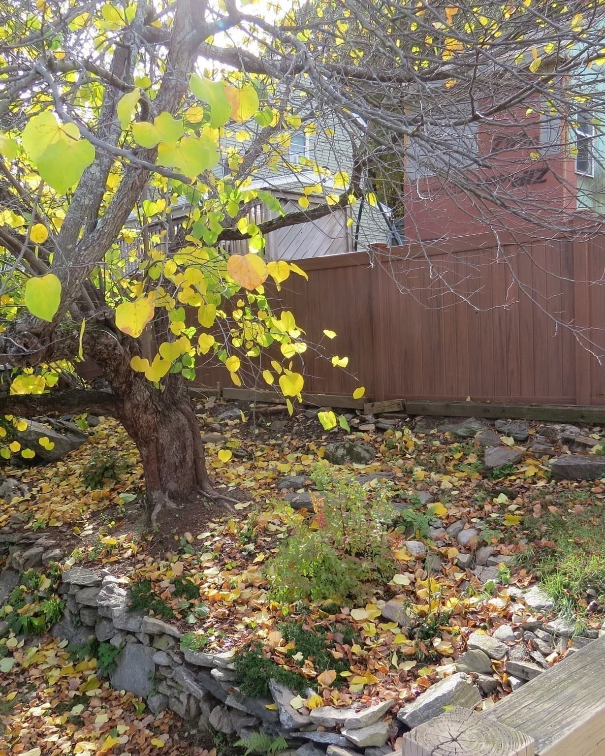 Single Family Residence at 11 Sonoma Dr, Worcester MA 01605, photo 8 of 34