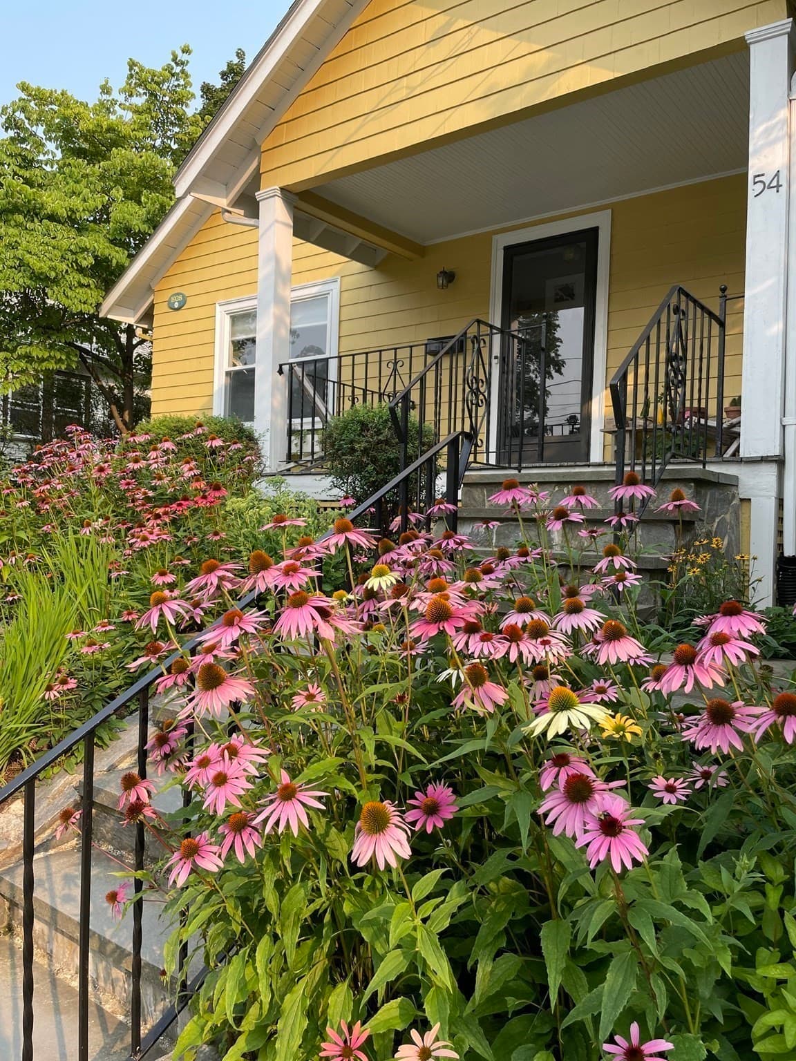 Single Family Residence at 54 Barrows Street, Dedham MA 02026, photo 30 of 33